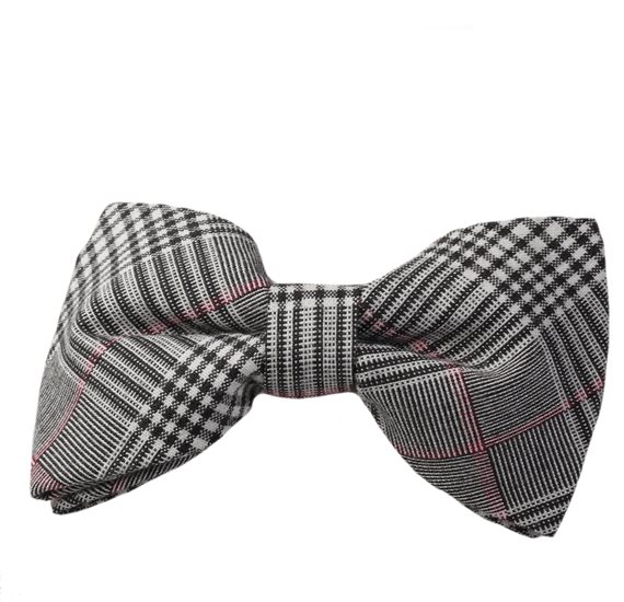 Papillon Principe di Galles Bianco e Nero
