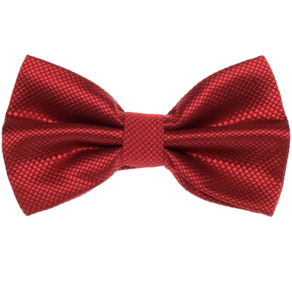 Papillon in Raso Bordeaux