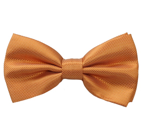 Papillon in Raso Arancione