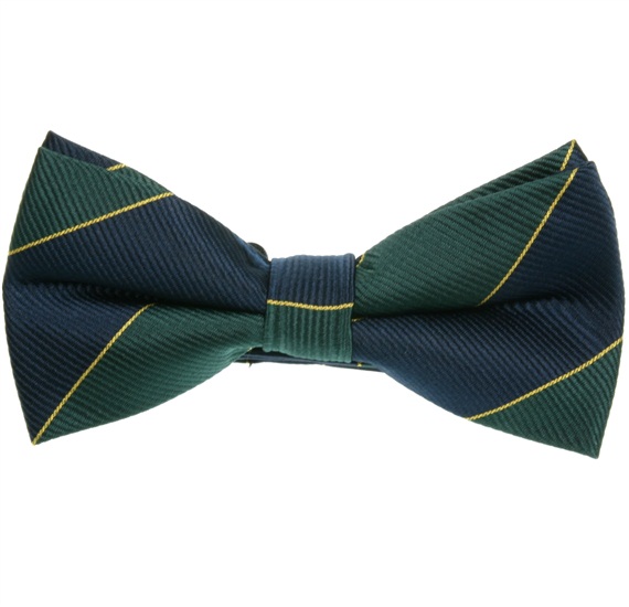 Papillon Righe Blu Scuro e Verde Scuro