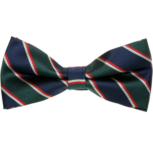 Papillon Righe Blu e Verde