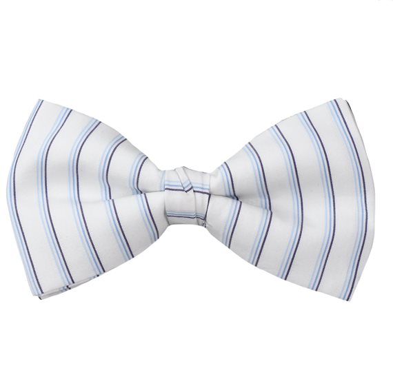 Papillon Righe Blu