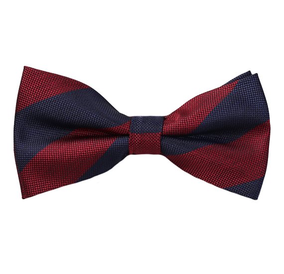 Papillon Righe Blu e Bordeaux