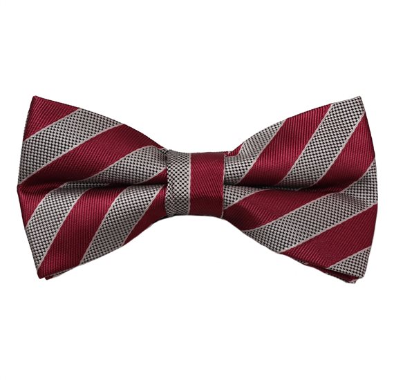 Papillon Righe Bordeaux e Beige