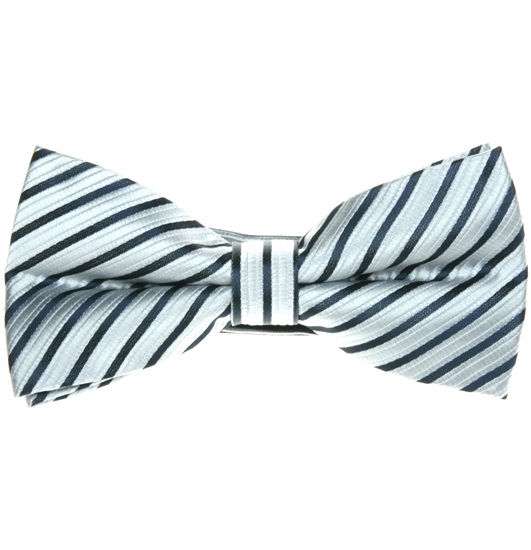Papillon Righe Grigio Argento e Blu Navy