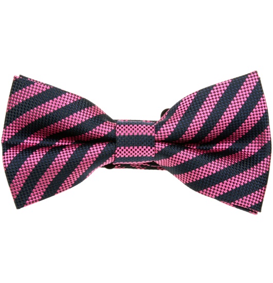 Papillon Righe Magenta e Blu Navy