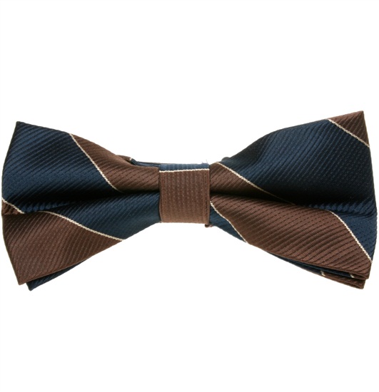 Papillon Righe Marrone e Blu Scuro