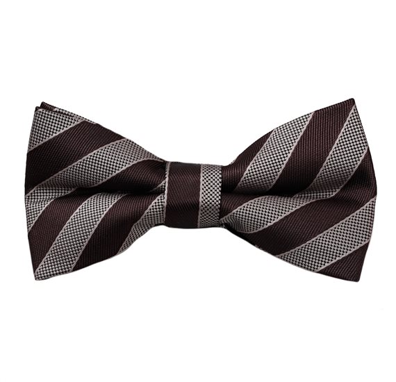 Papillon a Righe Marrone e Beige