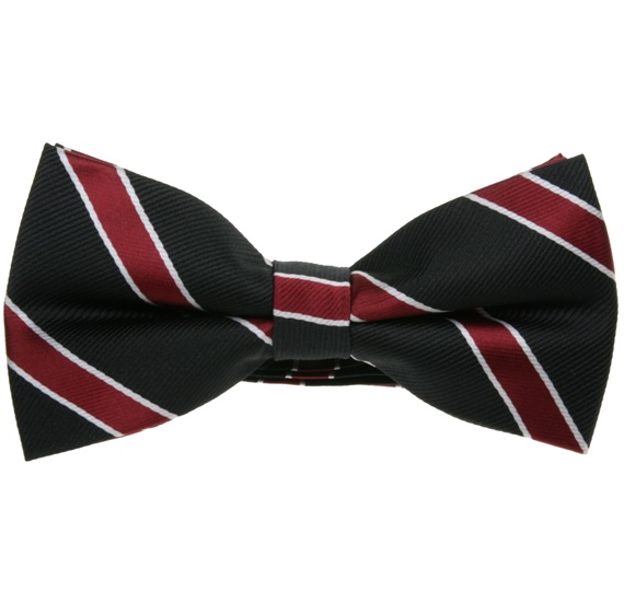 Papillon a righe nero e bordeaux