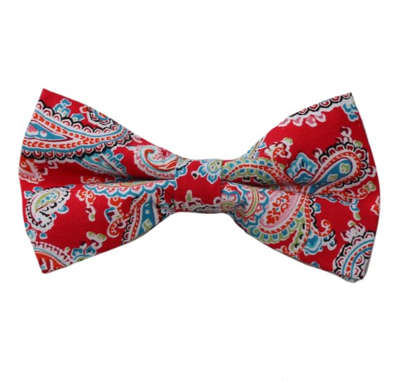 Papillon Rosso Paisley