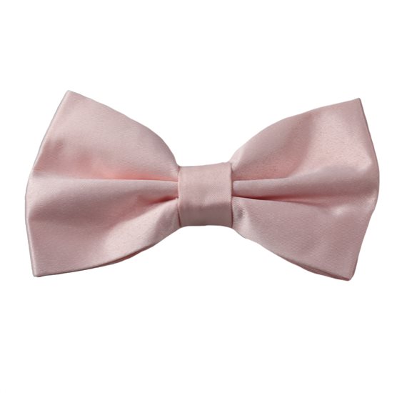 Papillon Rosa Audrey
