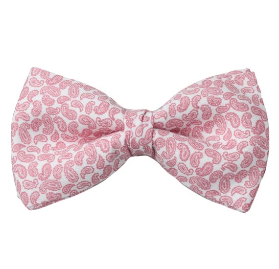 Papillon Rosa Paisley