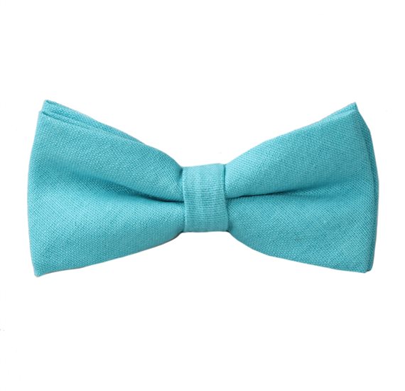 Papillon Turchese