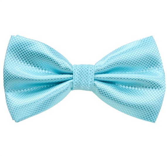 Papillon Turchese Chiaro