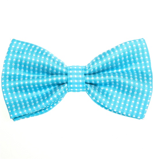 Papillon Turchese a Pois Bianchi