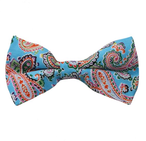 Papillon Turchese Paisley