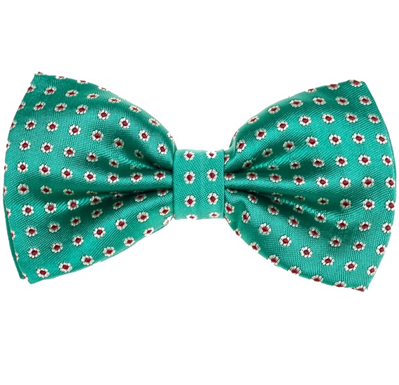 Papillon Verde con Margherite Bianche