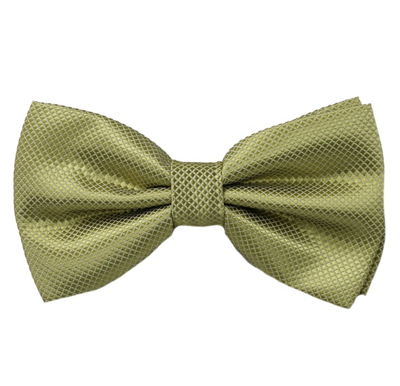 Papillon Verde Chiaro
