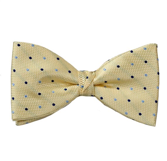 Papillon e Fazzoletto Giallo a Pois
