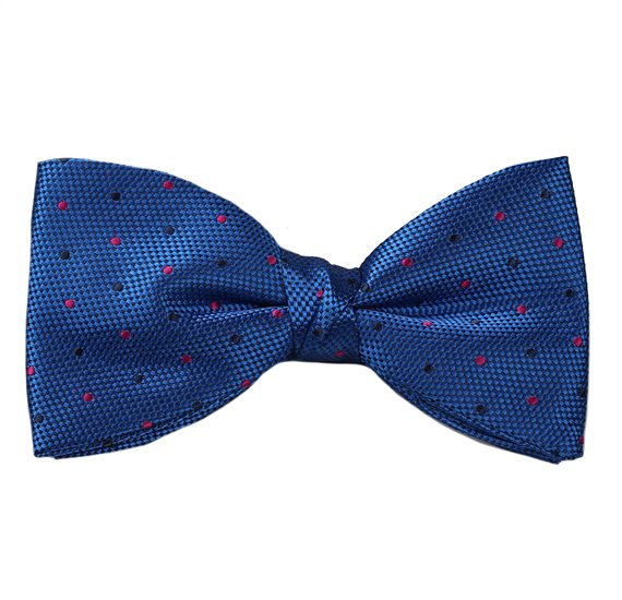 Papillon e Fazzoletto Blu con Pois