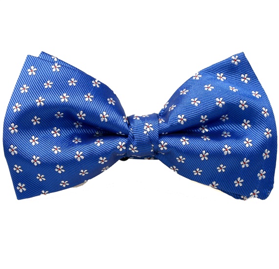 Papillon e Fazzoletto Azzurro con Margherite