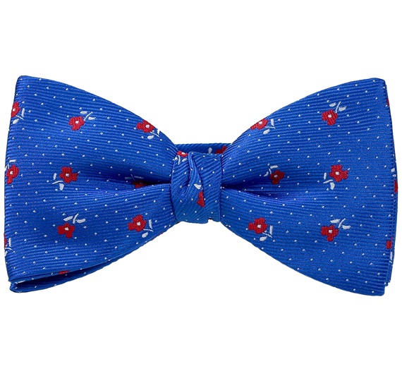 Papillon e Fazzoletto Azzurro con Rose Rosse