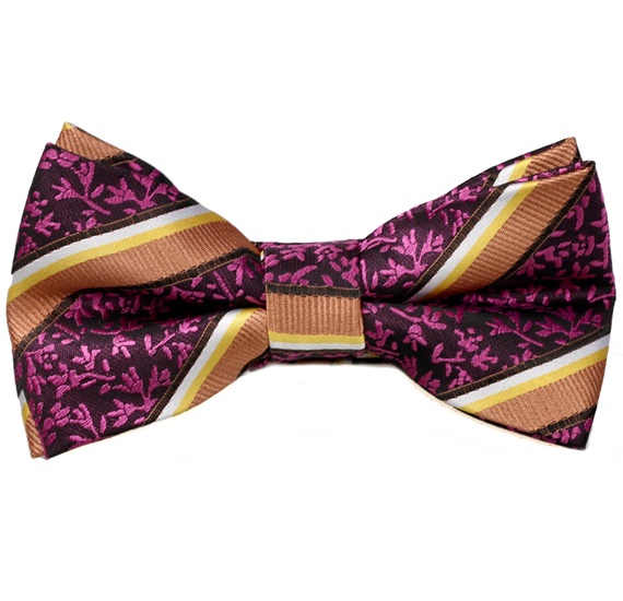 Papillon e Fazzoletto a Righe e Fiori