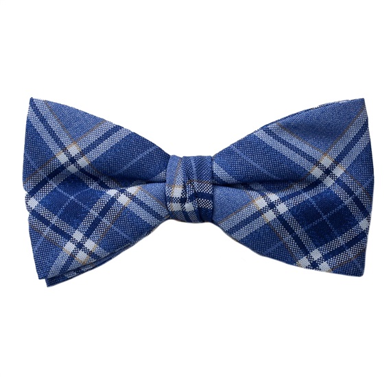 Papillon e Fazzoletto a Quadretti Blu