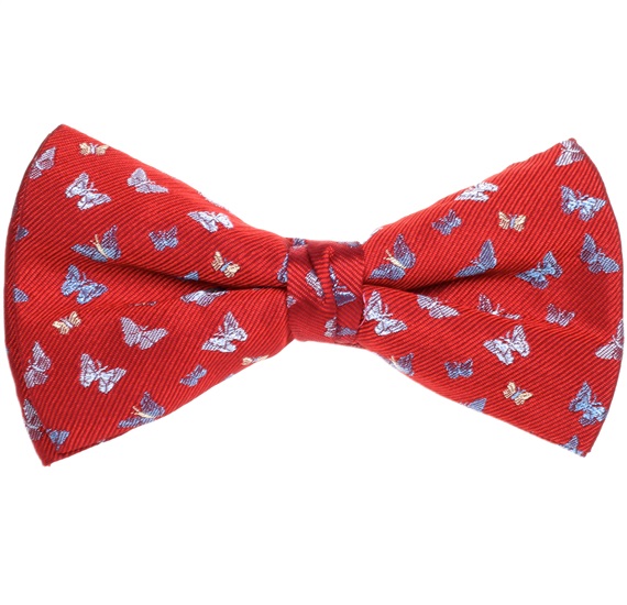 Papillon e Fazzoletto Bordeaux con Farfalle Blu