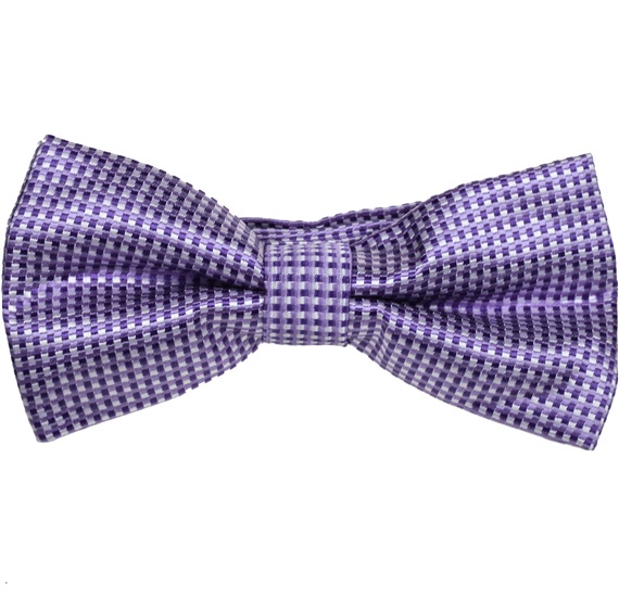 Papillon e Fazzoletto Viola a Quadretti