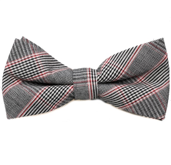 Papillon e Fazzoletto Principe di Galles