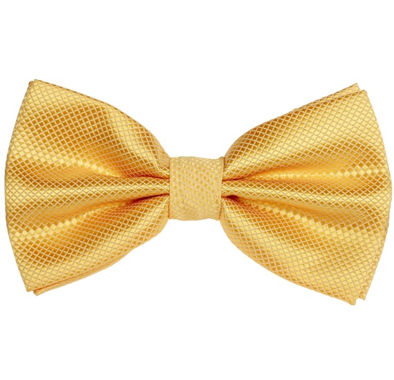 Papillon e Fazzoletto in Raso Giallo
