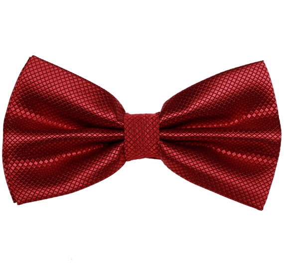 Papillon e Fazzoletto in Raso Bordeaux
