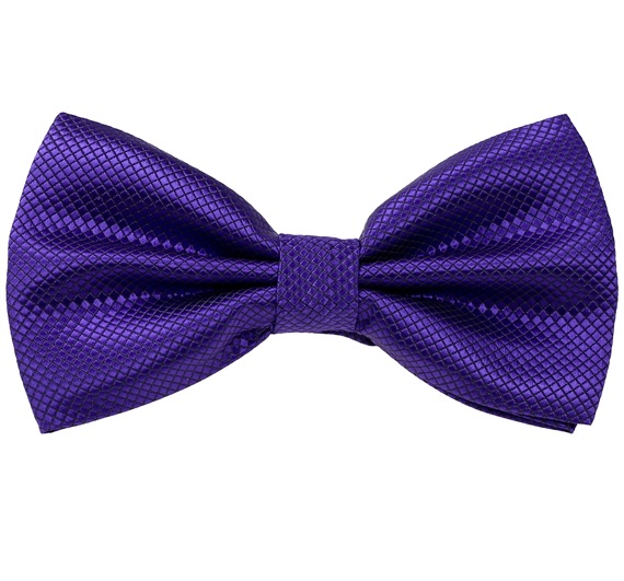 Papillon e Fazzoletto in Raso Viola Scuro
