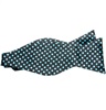 Cravatta a Farfalla Nera con Pois Turchese