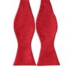 Cravatta a Farfalla Rossa con Motivo Paisley