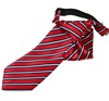Cravatta Bambino Righe Blu e Rosse