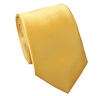 Cravatta e Fazzoletto Giallo