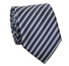 Cravatte Righe Blu e Bianche