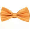 Papillon Giallo