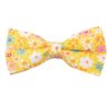 Papillon Giallo Fiori