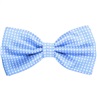Papillon Blu Cielo a Pois Bianchi