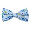 Papillon Azzurro Cielo Fiori Blu
