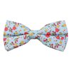Papillon Azzurro Cielo Fiori Rossi