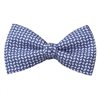 Papillon Blu Gemelli