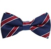 Papillon Blu Navy a Righe Bordeaux
