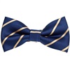 Papillon Blu Scuro a Righe Oro