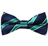 Papillon Blu Navy a Righe Verdi