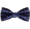 Papillon Blu Scuro a Pois Oro