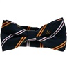 Papillon Blu Navy Righe Oro e Bianche